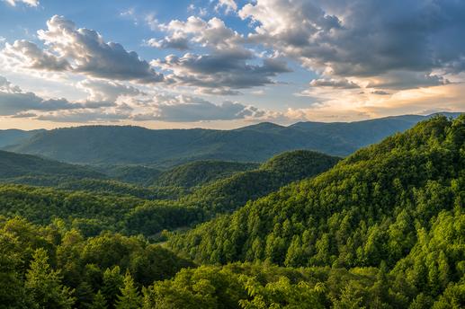 Majestic Mountain View