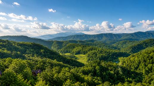 Majestic Mountain View
