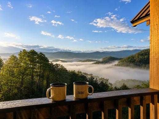 Picture Perfect View