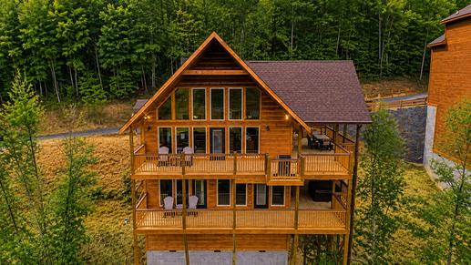 Critter Cove