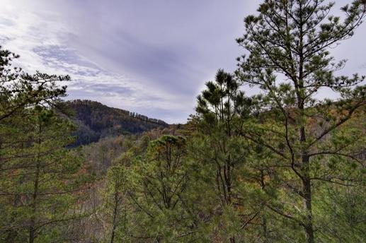 Photo of Grand Cherokee Lodge