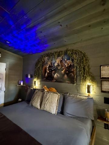 STAR LIGHT PROJECTOR - FOR A RESTFUL NIGHT SLEEP UNDER THE STARS IN YOUR TREEHOUSE