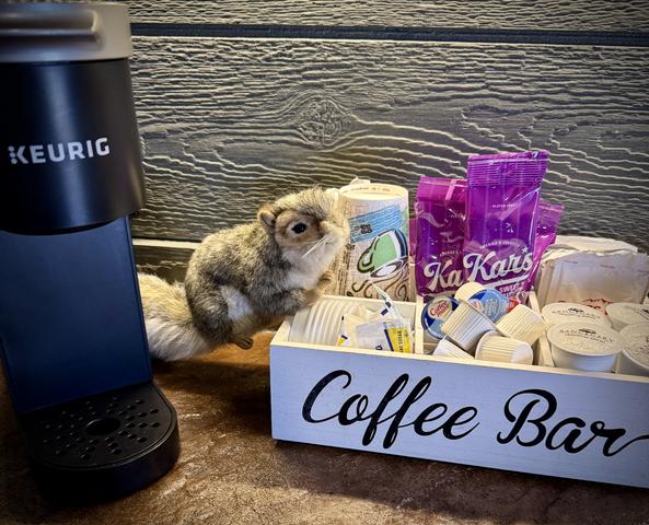 STOCKED COFFEE BAR INCLUDED WITH EVERY STAY