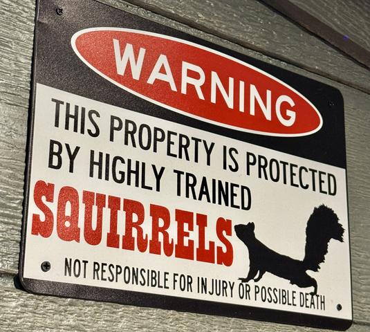 SQUIRRELS GONE WILD TREEHOUSE - WOODED VIEW - SLEEPS UP TO 6 - SANCTUARY TREEHOUSE RESORT IN THE SMOKY MOUNTAINS