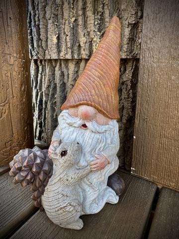 SMOKY MOUNTAIN SQUIRRELS ARE WILD HERE - PROCEED WITH CAUTION