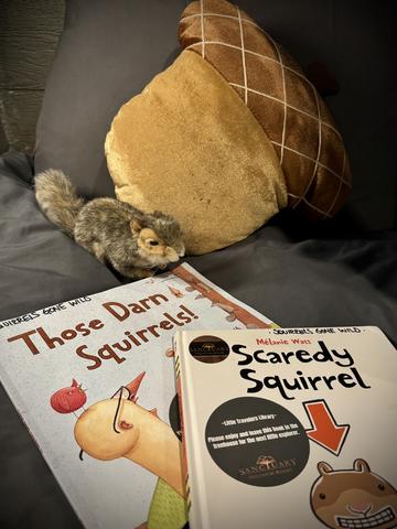 CHILDREN'S BOOKS ARE PROVIDED - MORE BOOKS FOR ALL AGES CAN BE FOUND AT OUR LITTLE READERS BOX ON THE RESORT PROPERTY