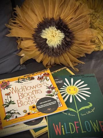 CHILDREN'S BOOKS FOR AMONG THE WILDFLOWERS - BE SURE TO CHECK OUT OUR LITTLE READERS BOX ON PROPERTY FOR MORE BOOKS FOR ALL AGES - BORROW A BOOK - OR - LEAVE A BOOK