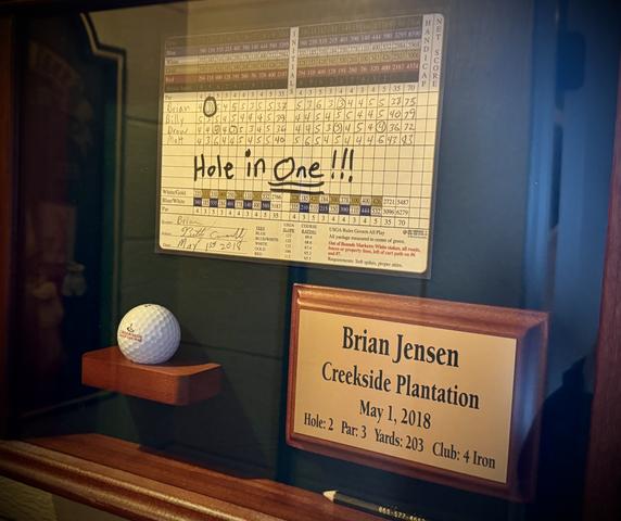 HOLE IN ONE! RESERVE 19TH HOLE TREEHOUSE TODAY! 423-TREE-FUN