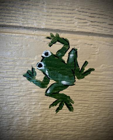 CAN YOU FIND THE 7 HIDDEN FROGS IN AMONG THE WILDFLOWERS TREEHOUSE? FAIR WARNING - IT'S NOT EASY! 