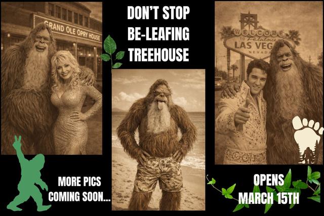 DON'T STOP BE-LEAFING TREEHOUSE - SLEEPS UP TO 6 - ALL INTERACTIVE FEATURES INCLUDED - NOW BOOKING BEGINNING MARCH 15TH