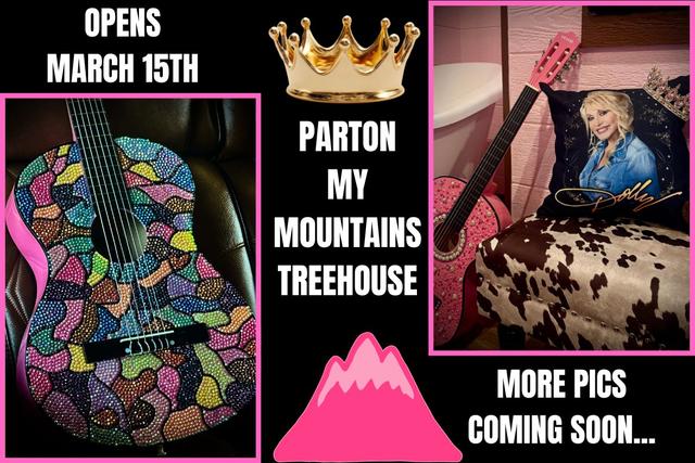 PARTON MY MOUNTAINS LUXE TREEHOUSE - SLEEPS UP TO 4 - SANCTUARY TREEHOUSE RESORT - NOW RESERVING BEGINNING MARCH 15TH