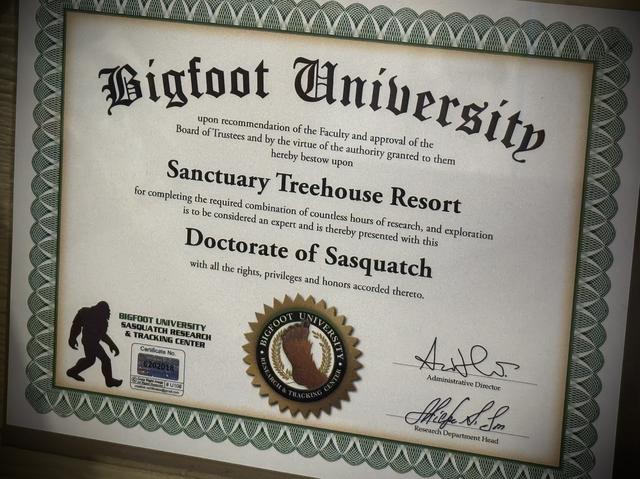 YEAH - WE WENT TO SCHOOL FOR THIS. IMPRESSED? 