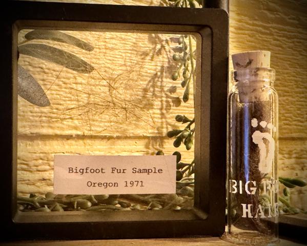BIG FOOT RELICS THROUGHOUT DON'T STOP BE-LEAFING TREEFORT TREEHOUSE AT SANCTUARY TREEHOUSE RESORT
