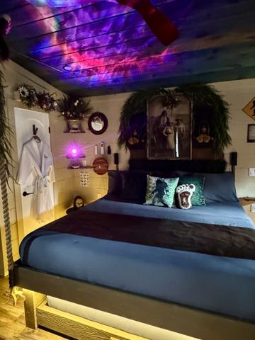 STAR LIGHT PROJECTOR FOR A RESTFUL NIGHT UNDER THE STARS AT DON'T STOP BE-LEAFING TREEHOUSE