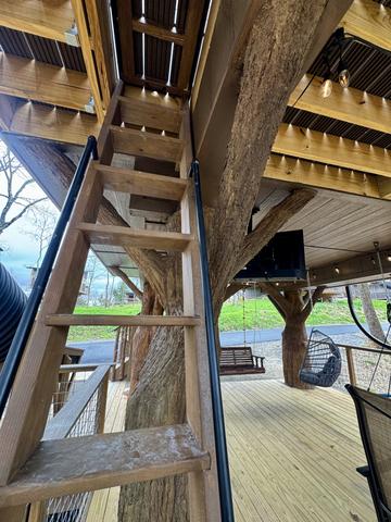 Photo of 63 - OWL ALWAYS LOVE YOU 