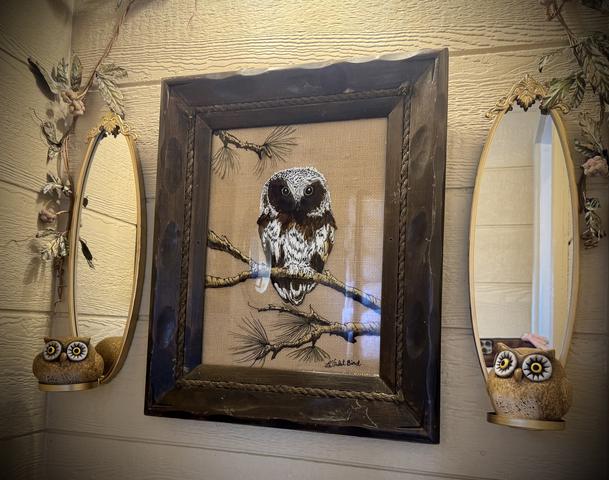 Photo of 63 - OWL ALWAYS LOVE YOU 