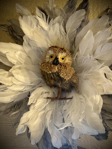 Photo of 63 - OWL ALWAYS LOVE YOU 