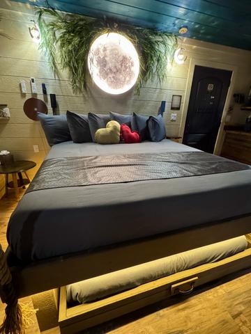 Photo of 63 - OWL ALWAYS LOVE YOU 