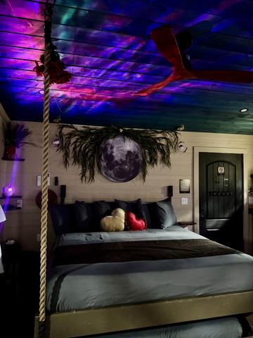 Photo of 63 - OWL ALWAYS LOVE YOU 