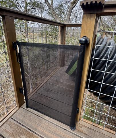 Photo of 63 - OWL ALWAYS LOVE YOU 