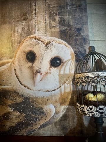 Photo of 63 - OWL ALWAYS LOVE YOU 