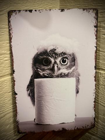 Photo of 63 - OWL ALWAYS LOVE YOU 