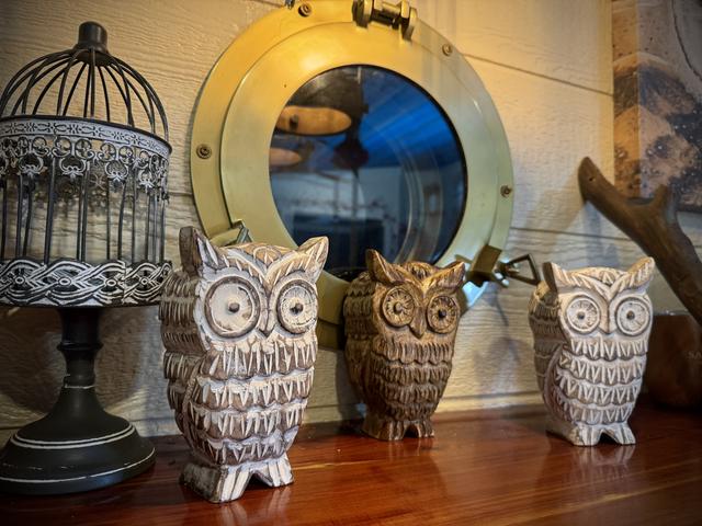 Photo of 63 - OWL ALWAYS LOVE YOU 