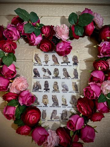 Photo of 63 - OWL ALWAYS LOVE YOU 