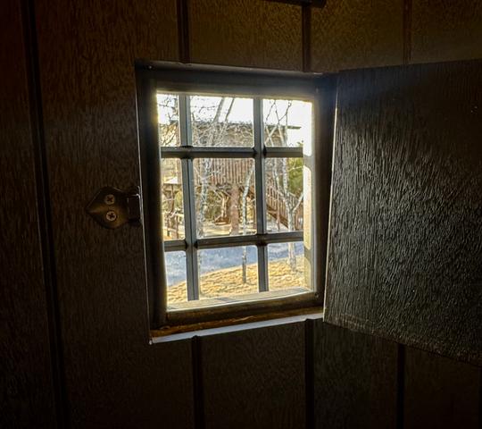 Photo of 63 - OWL ALWAYS LOVE YOU 