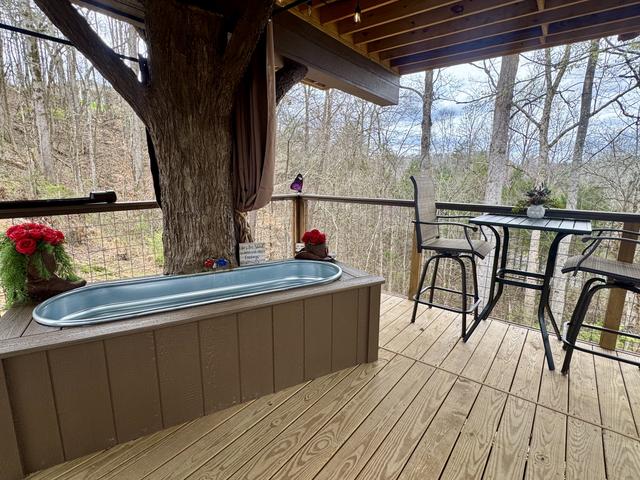 OUTDOOR SOAKING TUB ON LOWER DECK - TABLE TOP FOR TWO - 50" TV - PRIVACY CURTAIN - DRINK CHUTE - SECRET LADDER - BISTRO LIGHTING