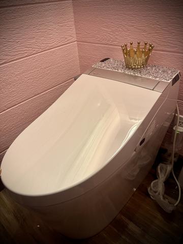 A THRONE FIT FOR A QUEEN - FULL BIDET WITH REMOTE - BEDAZZLED