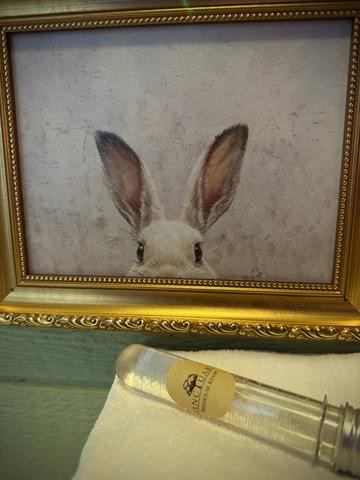 THE FOUR TREE-SONS LUXURY TREEHOUSE AT SANCTUARY TREEHOUSE RESORT IN THE SMOKY MOUNTAINS - CONVENIENT TO SEVIERVILLE, PIGEON FORGE, DOLLYWOOD, AND GATLINBURG