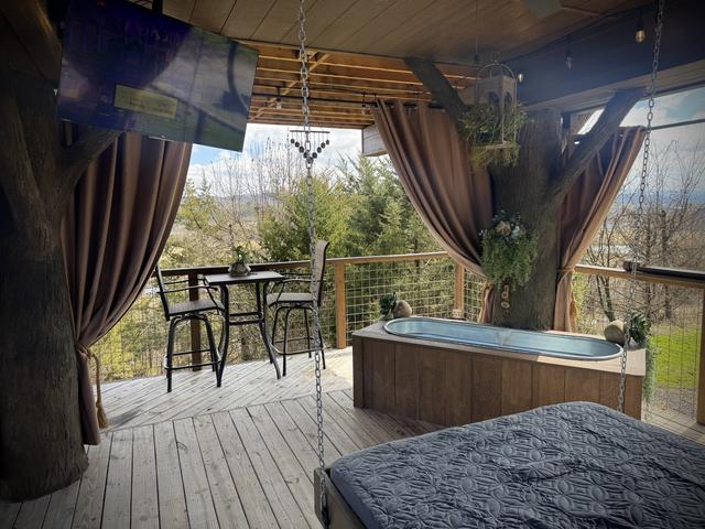 Photo of 56-TREE-T-MENT CENTER