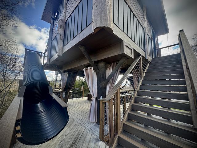 Photo of 56-TREE-T-MENT CENTER