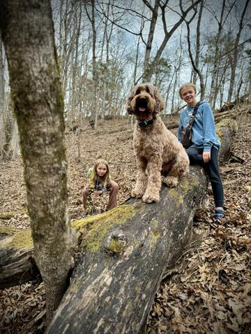 PET FRIENDLY - FAMILY FRIENDLY - IT'S JUST " FRIENDLY" HERE!