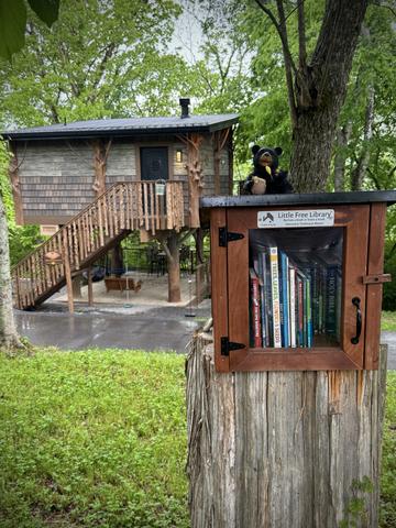 LOOK FOR OUR LITTLE READERS BOX ON PROPERTY - LEAVE A BOOK - BORROW A BOOK - PERFECT FOR A COZY READING SESSION IN YOUR TREEHOUSE SWING