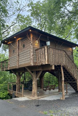 SQUIRRELS GONE WILD TREE FORT TREEHOUSE - SANCTUARY TREEHOUSE RESORT - SLEEPS UP TO 6