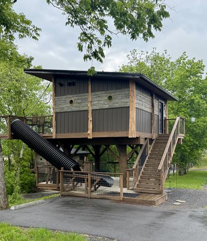 AMONG THE WILDFLOWERS TREE FORT TREEHOUSE - SLEEPS UP TO 6 - SANCTUARY TREEHOUSE RESORT