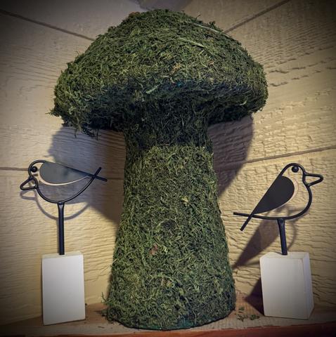 Photo of 58-MORNING WOOD 