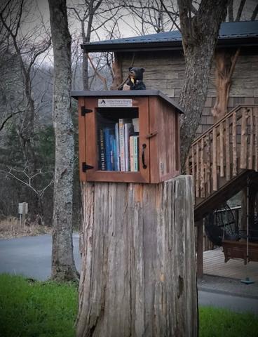 LITTLE READERS BOX - LEAVE A BOOK - TAKE A BOOK - LOCATED ACROSS FROM AIR FORT ONE TREEHOUSE