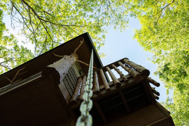 Rain chains are a beautiful aesthetic on the treehouses.
