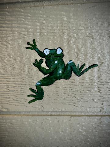 Photo of 54 - AMONG WILDFLOWERS