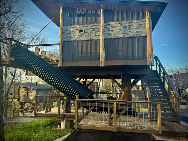 Photo of 54 - AMONG WILDFLOWERS