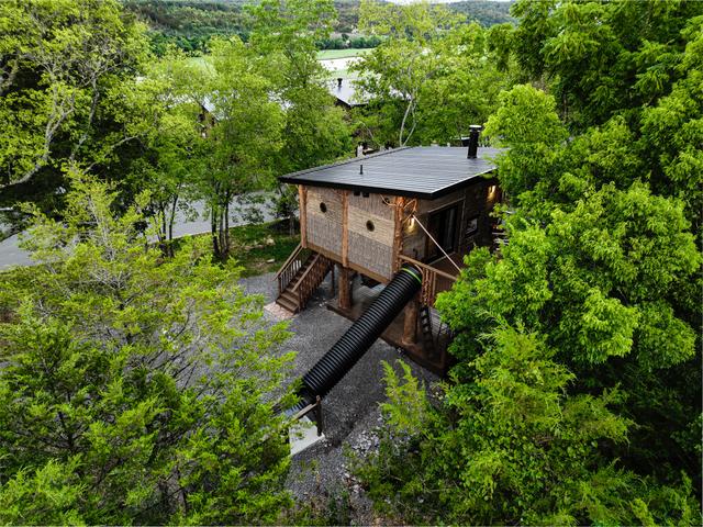 Photo of CHASING FIREFLIES - 49