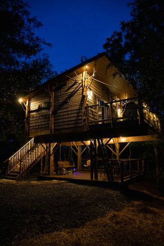 Photo of 52 - SQUIRRELS GONE WILD