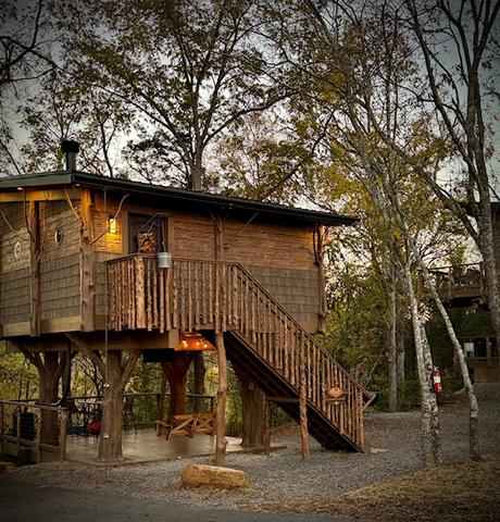 Photo of 52 - SQUIRRELS GONE WILD