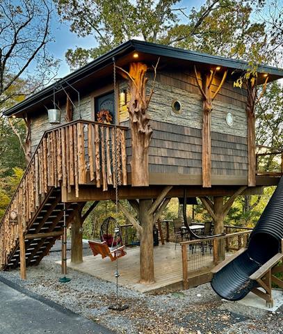 Photo of TREE-MENDOUS FUN - 54