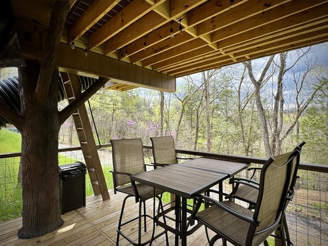 Photo of 54 - AMONG WILDFLOWERS