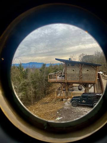 Photo of 54 - AMONG WILDFLOWERS