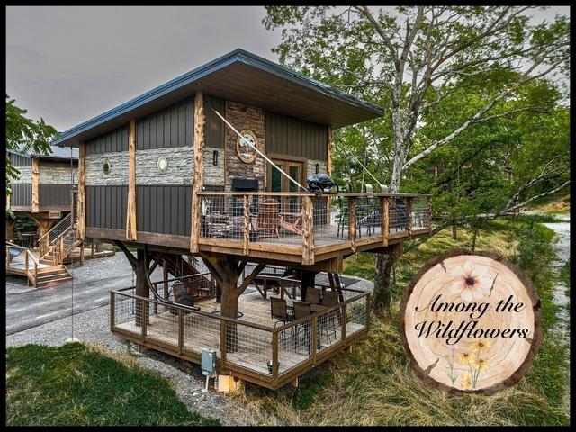 Photo of 54 - AMONG WILDFLOWERS